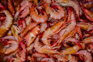 Close-up of freshly harvested shrimp showcasing the vibrant colors and texture of the seafood.